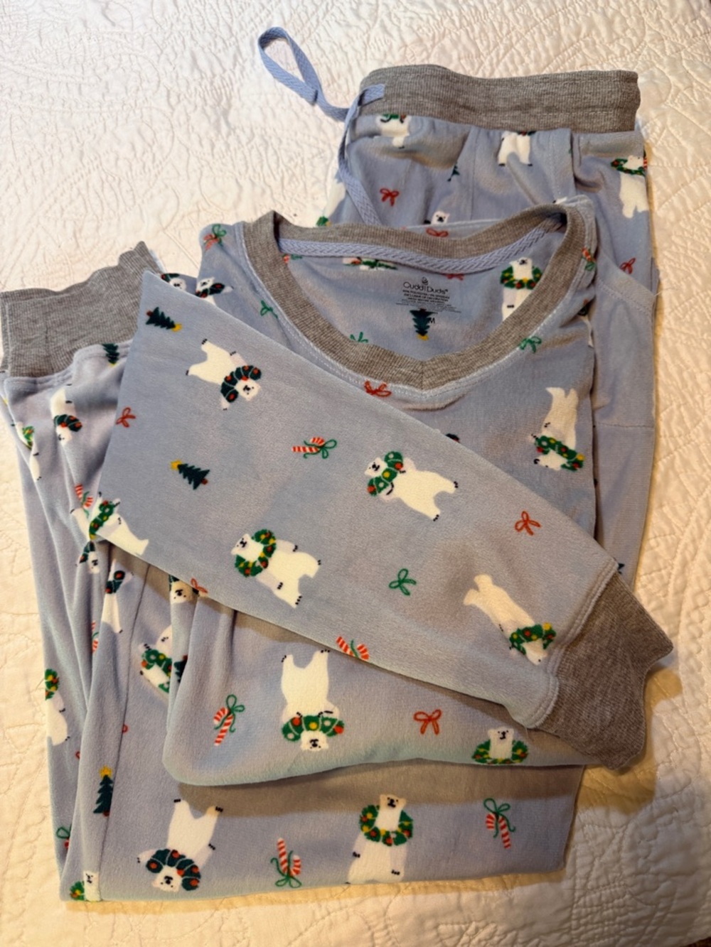 Cuddl Duds Light Blue Polar Bear Print Women’s Pajama Set with Gray Trim